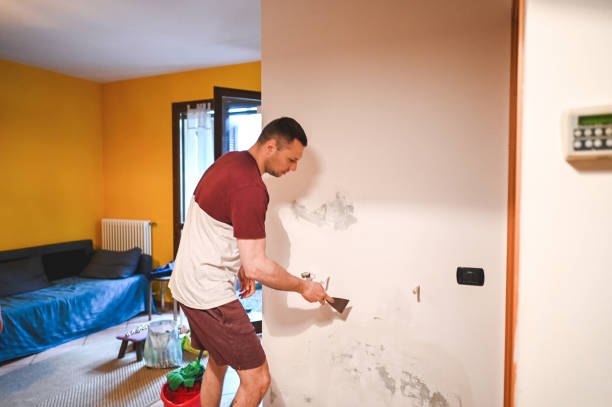 Best Residential Mold Removal  in Priceville, AL